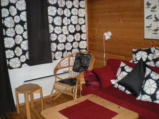 Uudistettu alakerran takkahuone