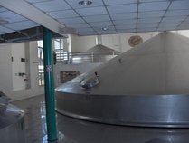 Moderni puoli, johon me ei päästy	