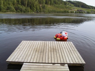 Laituri